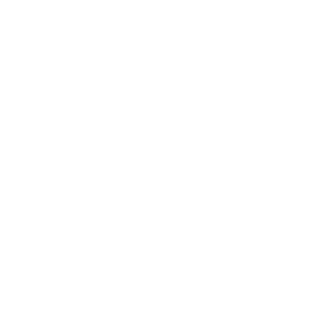 ITのチカラでビジネス成功を