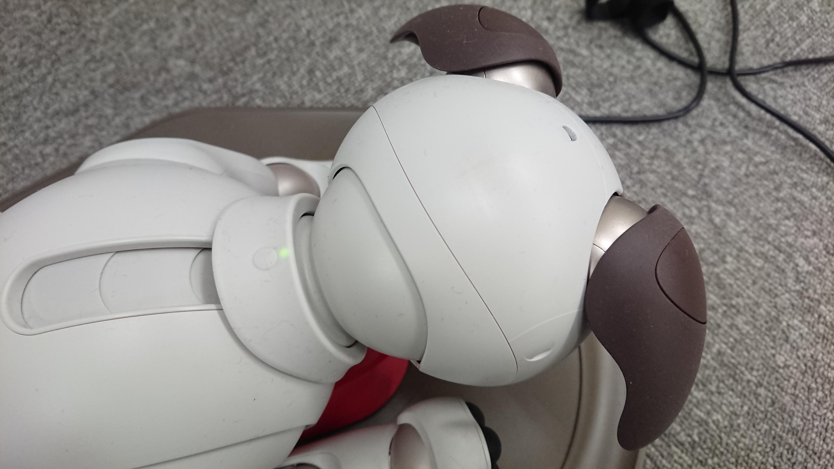 aibo の身体を綺麗にしよう✨